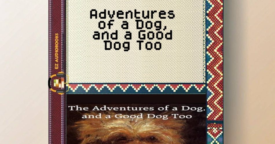 Adventures of a Dog